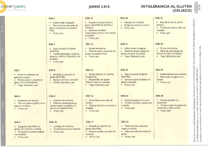 Menú Hipocalórico Junio 2016