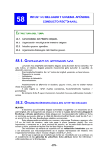 58.2. organización histológica del intestino delgado