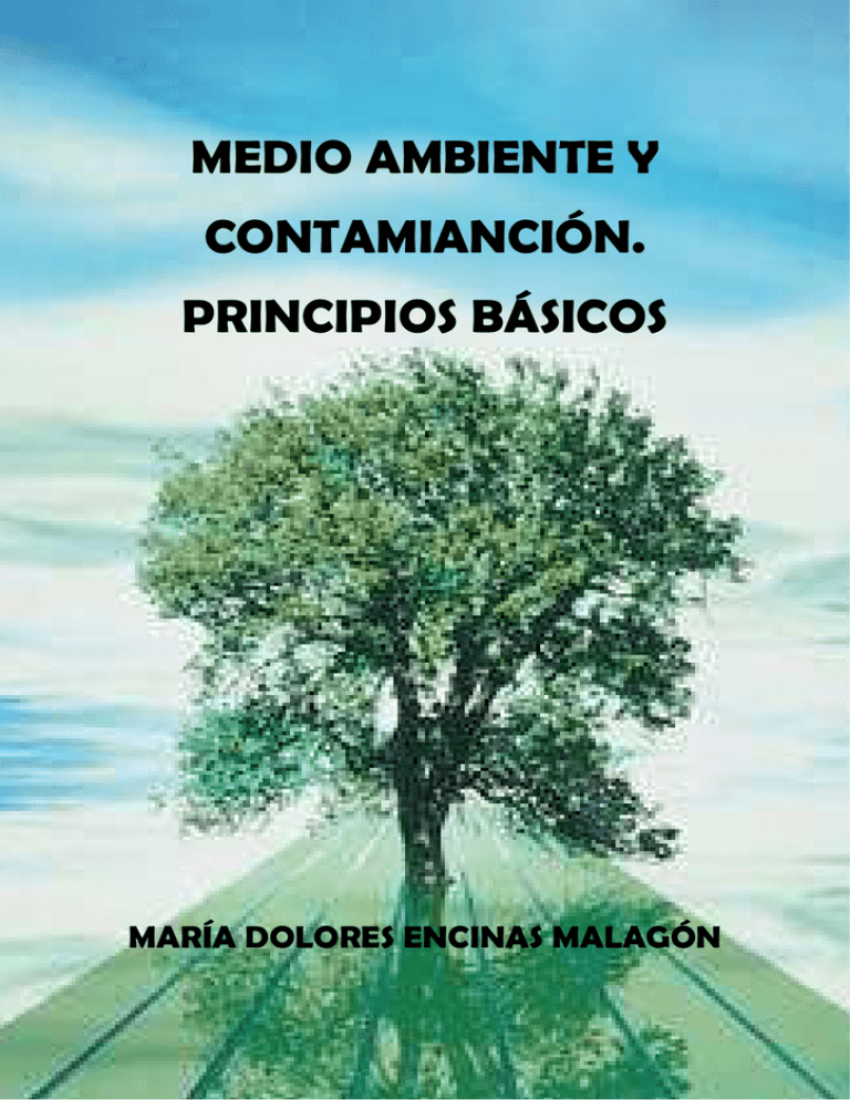 Medio Ambiente Y Contaminación. Principios Básicos