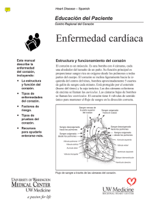 Enfermedad cardíaca - Health Online