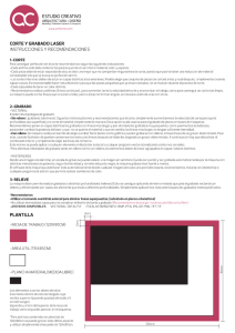 Instrucciones Corte-Grabado Láser + Capas