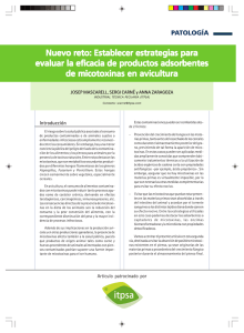 Nuevo reto: Establecer estrategias para eto: Establecer estrategias