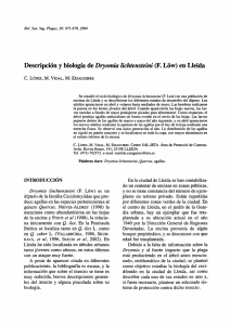 Descripción y biología de Dryomia lichtensteini (F. Low) en Lleida