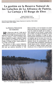 Medio del Ebro, el río ha formado una amplia llanura aluvial, que