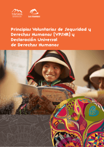 Principios Voluntarios de Seguridad y Derechos Humanos (VPSHR