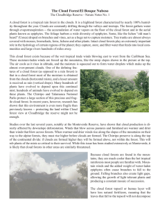 The Cloud Forest/El Bosque Nuboso