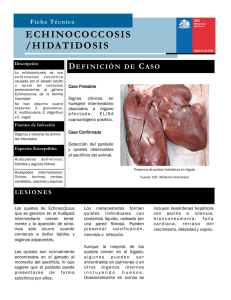 Echinococcosis/Hidatidosis