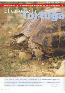 42. El caso de la Tortuga turca.