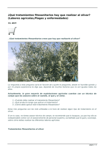 ¿Qué tratamientos fitosanitarios hay que realizar al olivar? (Labores