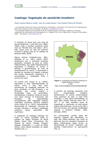 Caatinga: Vegetação do semiárido brasileiro