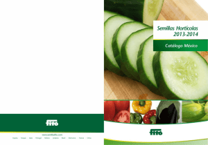 21x29.5_Catalogo_SemillasFito pdf.cdr