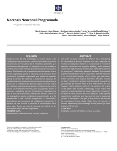 Necrosis Neuronal Programada