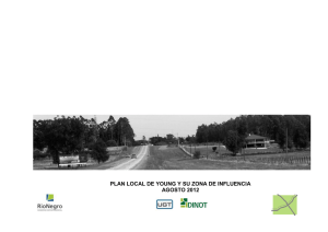 Plan Local Young AGOSTO 2012 a JD