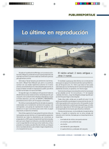 VER PDF - Selecciones Avícolas