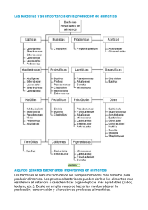 Las Bacterias y su importancia en la producción de alimentos