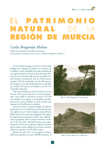 el patrimonio natural de la región de murcia - RUA