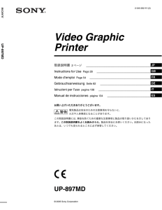 Video Graphic Printer