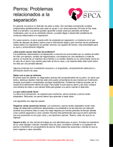 Perros: Problemas relacionados a la separación