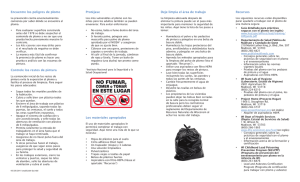 Guía para mejoras residenciales seguras y sin plomo (PDF