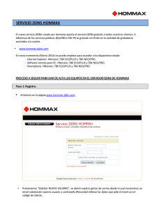 Configurar-hommax-ddns-marzo2014