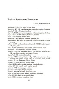 Lexicon Anatomicum Homericum