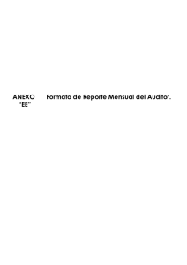 ANEXO “EE” Formato de Reporte Mensual del Auditor.