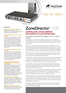 ZoneDirector™ 1100