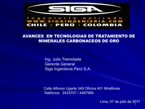 Diapositiva 1 - Instituto de Ingenieros de Minas del Perú