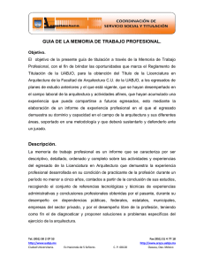 GUIA DE LA MEMORIA DE TRABAJO PROFESIONAL. Descripción.