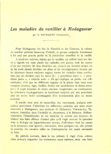 Les maladies du vanillier à Madagascar