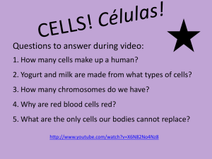 CELLS! Células!
