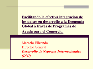 Presentacion Marcelo Elizondo_DNI