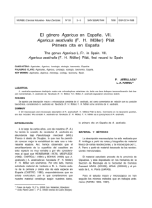 El género Agaricus en España. VII. Agaricus aestivalis (F. H. Möller