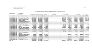 balance presupuestario de ingresos primer semestre año 2014