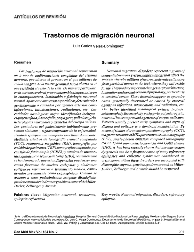 Trastornos De Migración Neuronal 8586