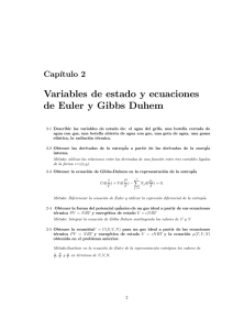 Variables de estado y ecuaciones de Euler y Gibbs Duhem