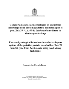 Comportamiento electrofisiológico en un sistema heterólogo de la