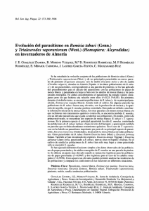 Evolución del parasitismo en Bemisia tabaci (Genn.) y Trialeurodes