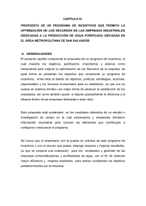 CAPÍTULO IV. PROPUESTA DE UN PROGRAMA DE INCENTIVOS