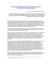 Instrumentos internacionales y documentos andinos sobre