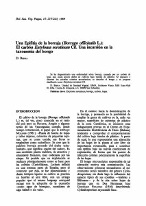 Una Epifitia de la borraja (Borrago officinalis L.): El carbón Entyloma
