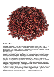 Habichuela Roja Los frijoles rojos oscuros (Dark Red Kidney Beans