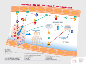 Formacion de Fibrina y Fibrinolisis