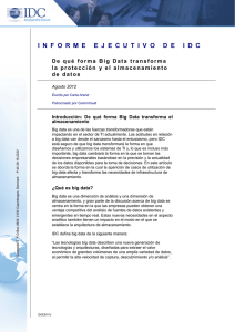 IDC Executive Brief: Big Data Transformation