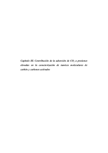 Capítulo III. Contribución de la adsorción de CO2 a presiones