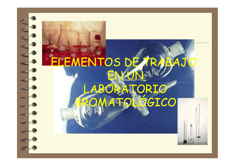 Elementos De Trabajo En Un Laboratorio Bromatológico