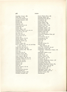 INDEX. Caloptilium (Comp.), -880 Caltha (Ran.), 7, 399 Calystegia