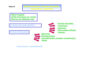 Ácidos Fenólicos, Fenoles Sencillos, Cumarinas y Lignanos y g