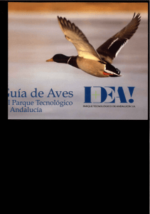 uía de Aves . Parque Tecnológico —J .