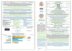 Modelo Primer Ciclo / 1st cycle model